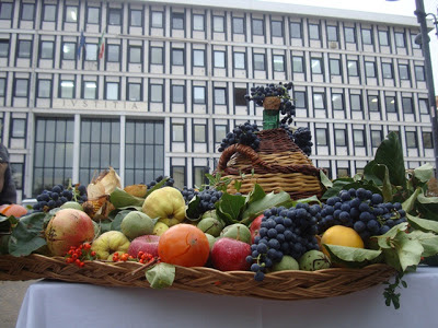 DSC04463