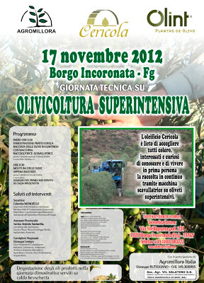 incontro-17-novembre-2012