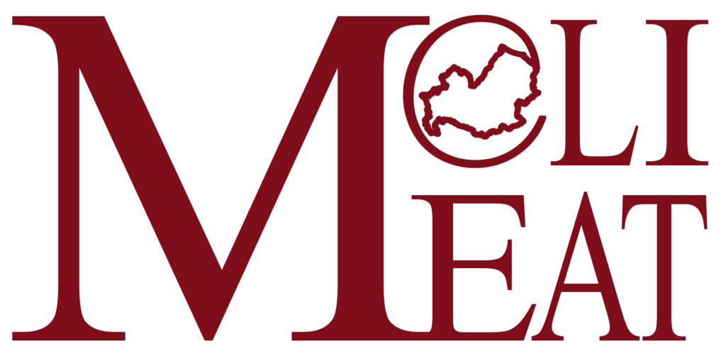 Logo 5