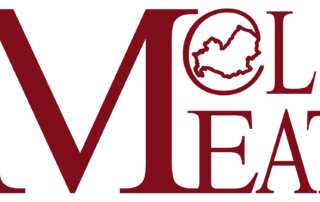 Logo 5